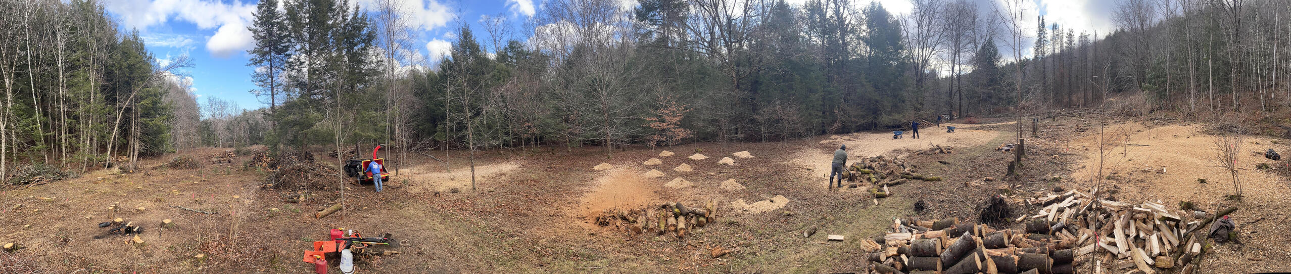 Forest stewards working in a forest space. Some are chipping brush while others are moving chips and splitting wood.