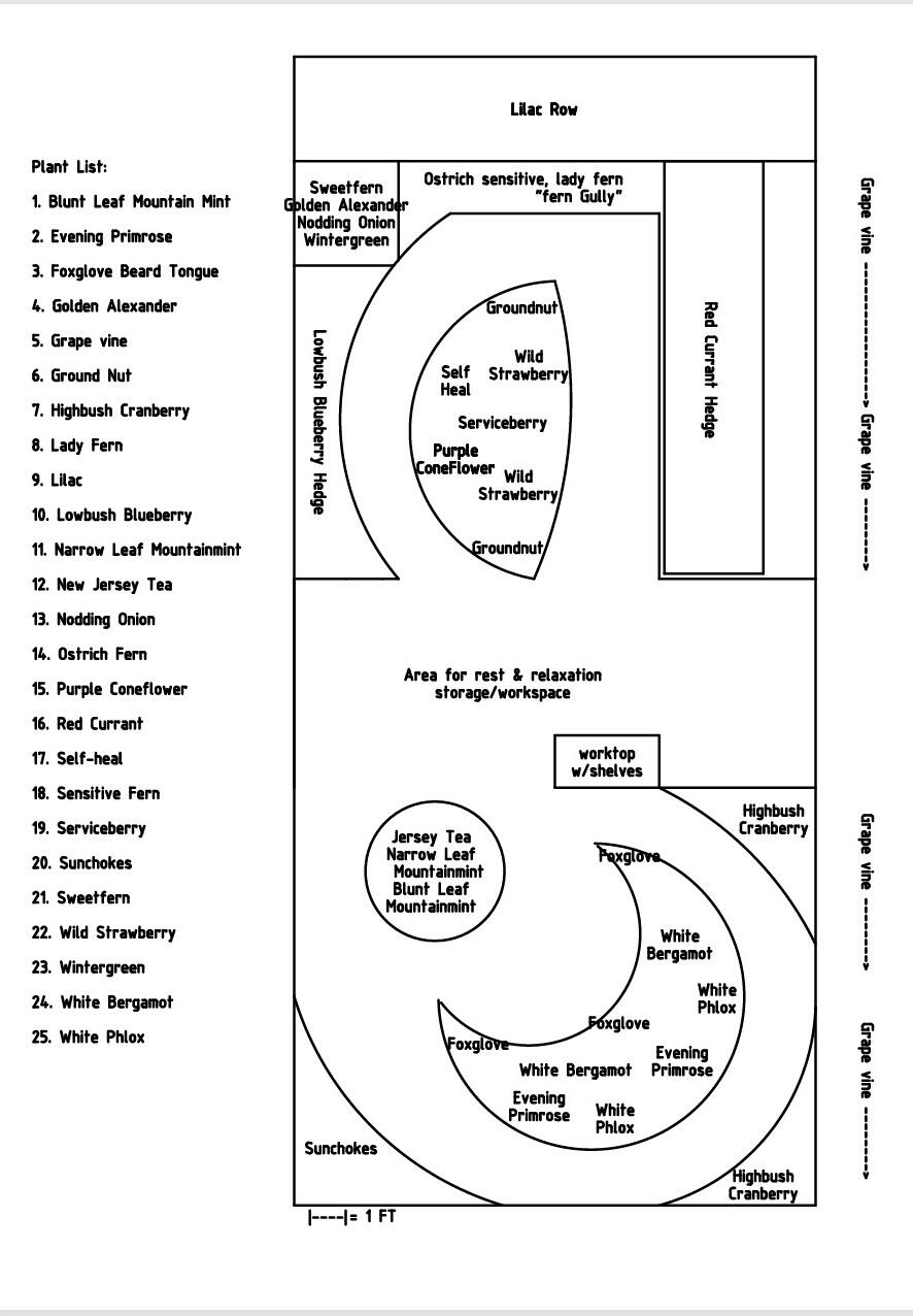 A garden layout with a list of all the plant suggestions.
